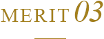 MERIT 03