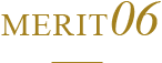 MERIT 06