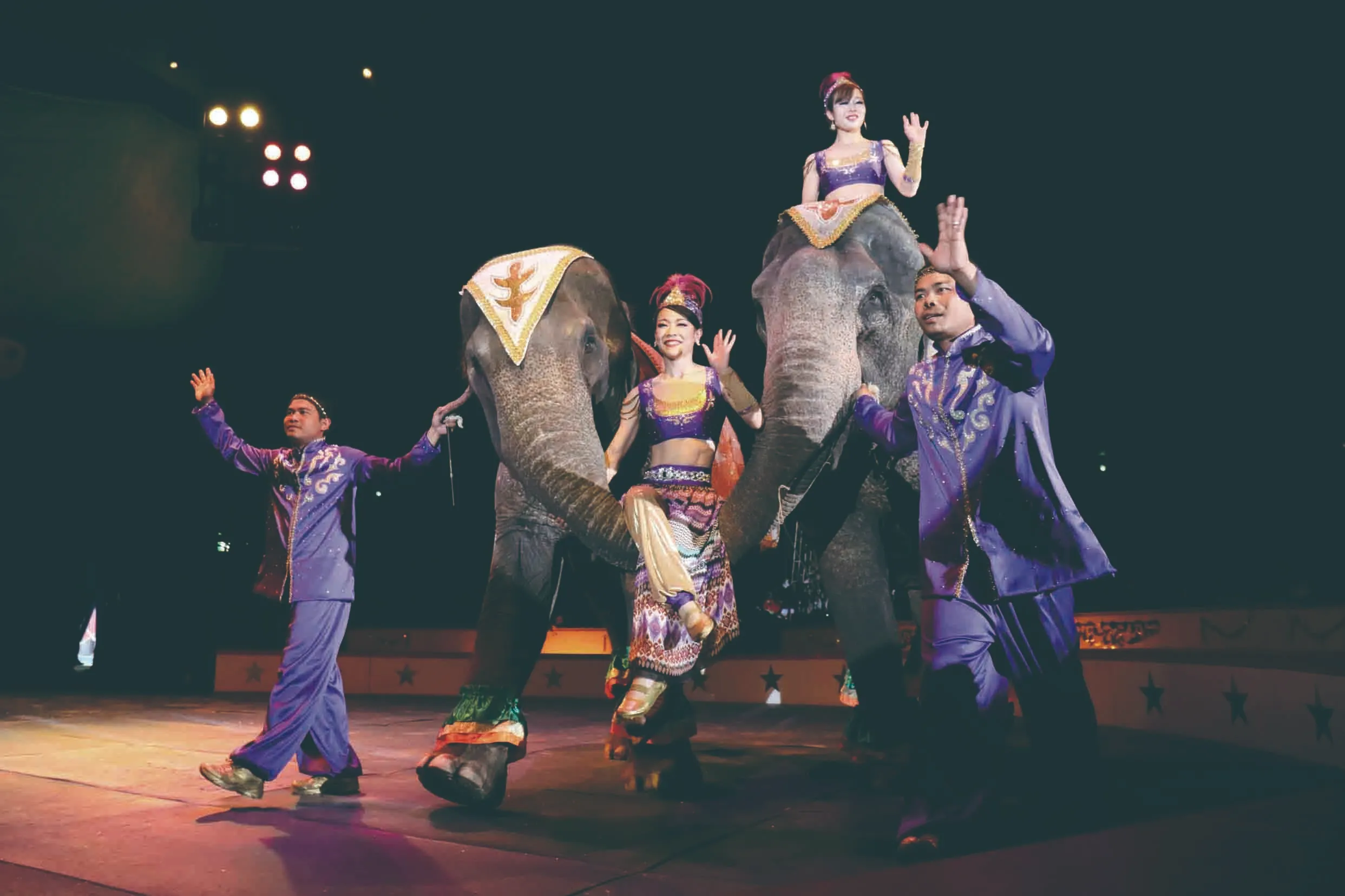 木下大サーカス