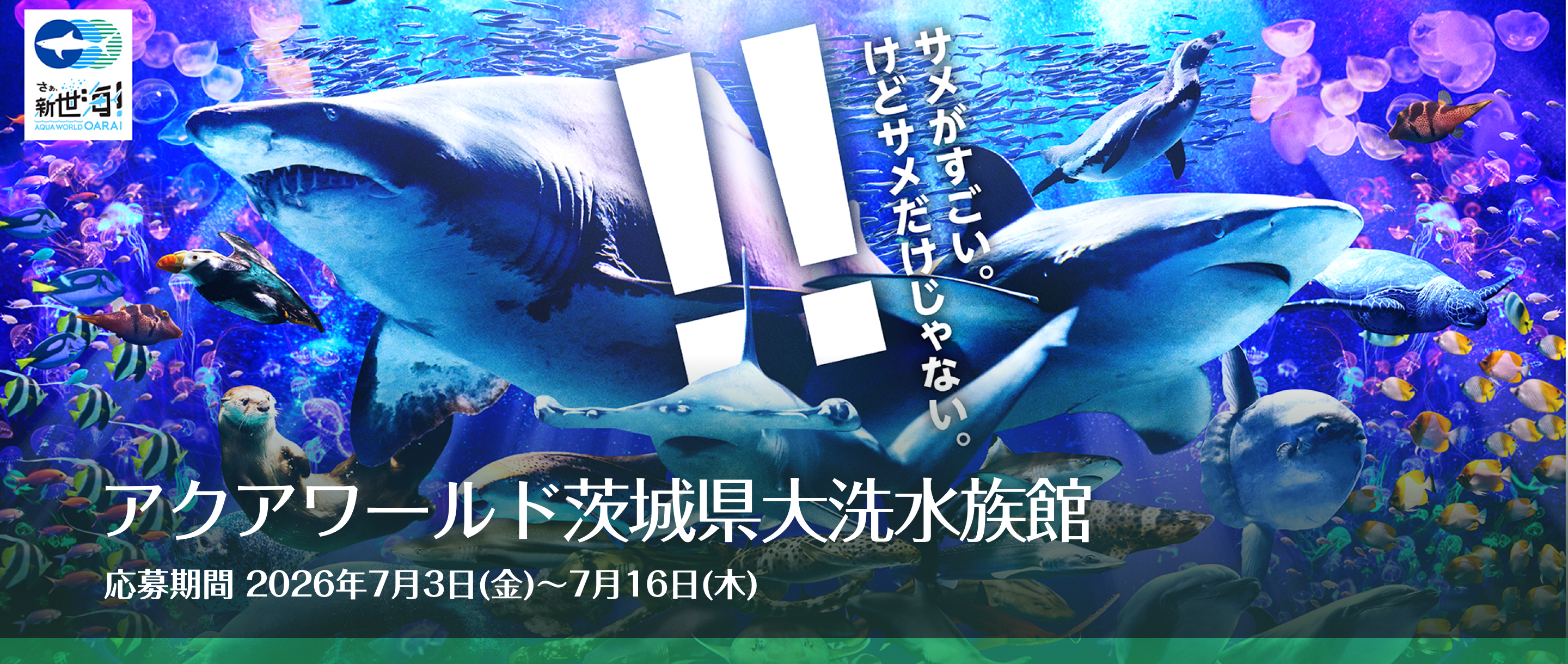 アクアワールド茨城県大洗水族館 無料ご招待チケット 抽選で15組30名様にプレゼント