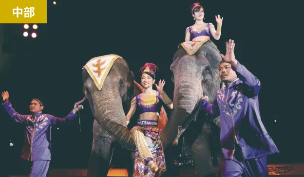 木下大サーカス