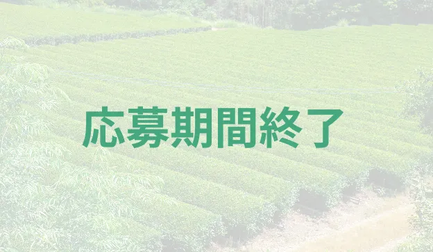 海田園黒坂製茶