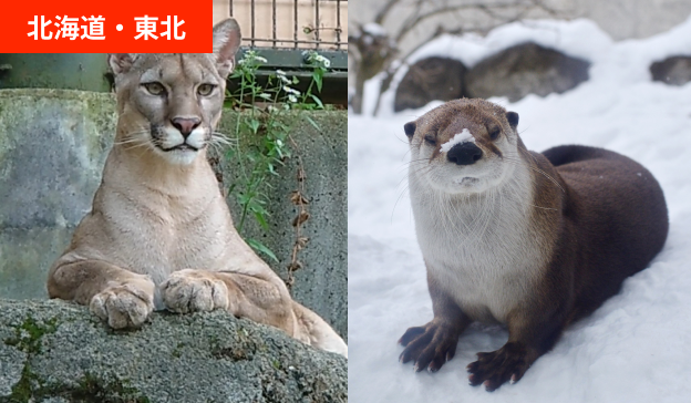 盛岡市動物公園ZOOMO