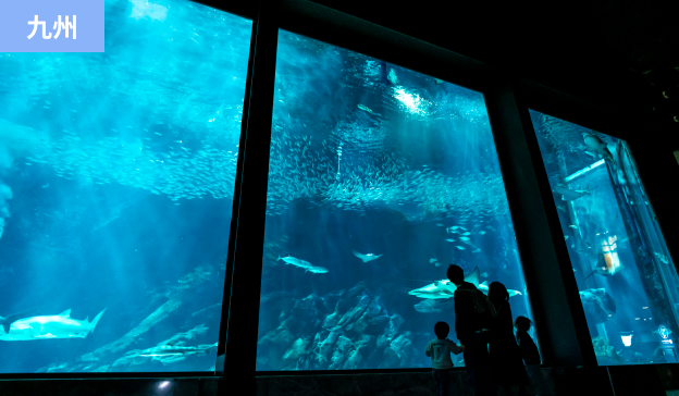 マリンワールド海の中道