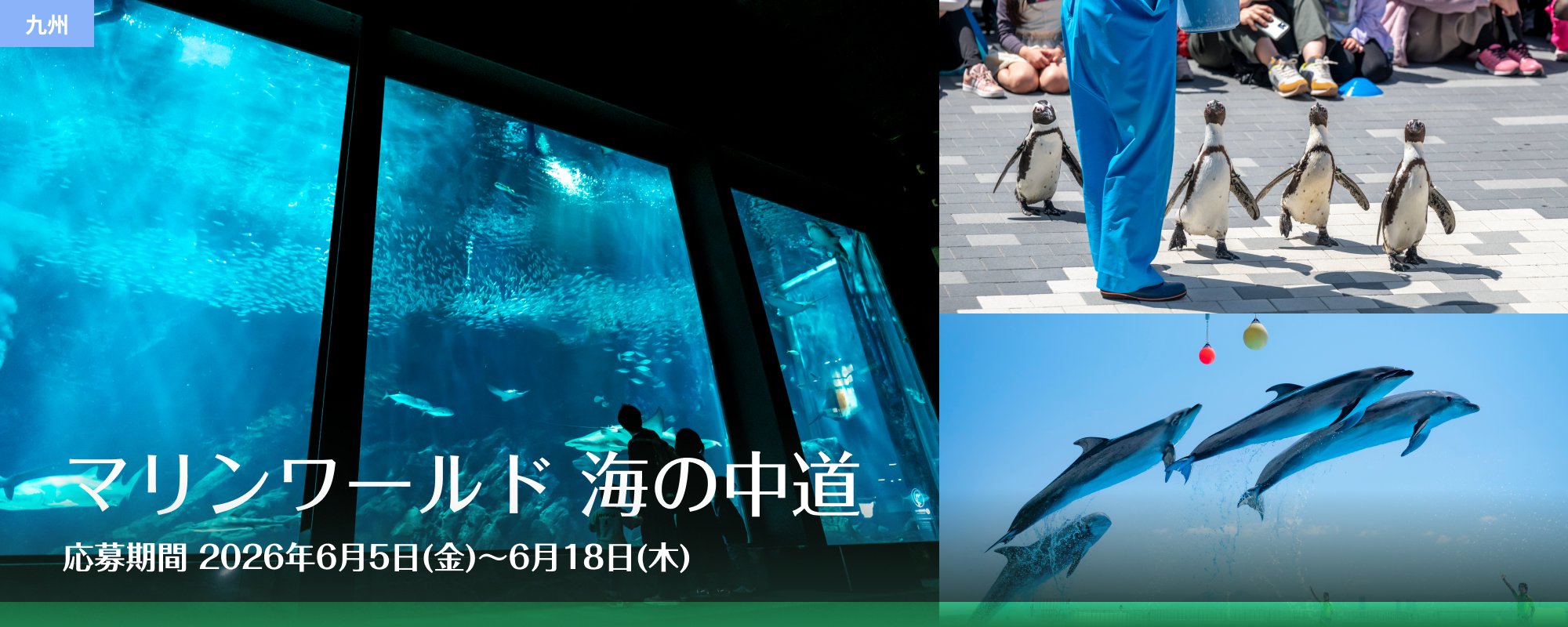 マリンワールド 海の中道