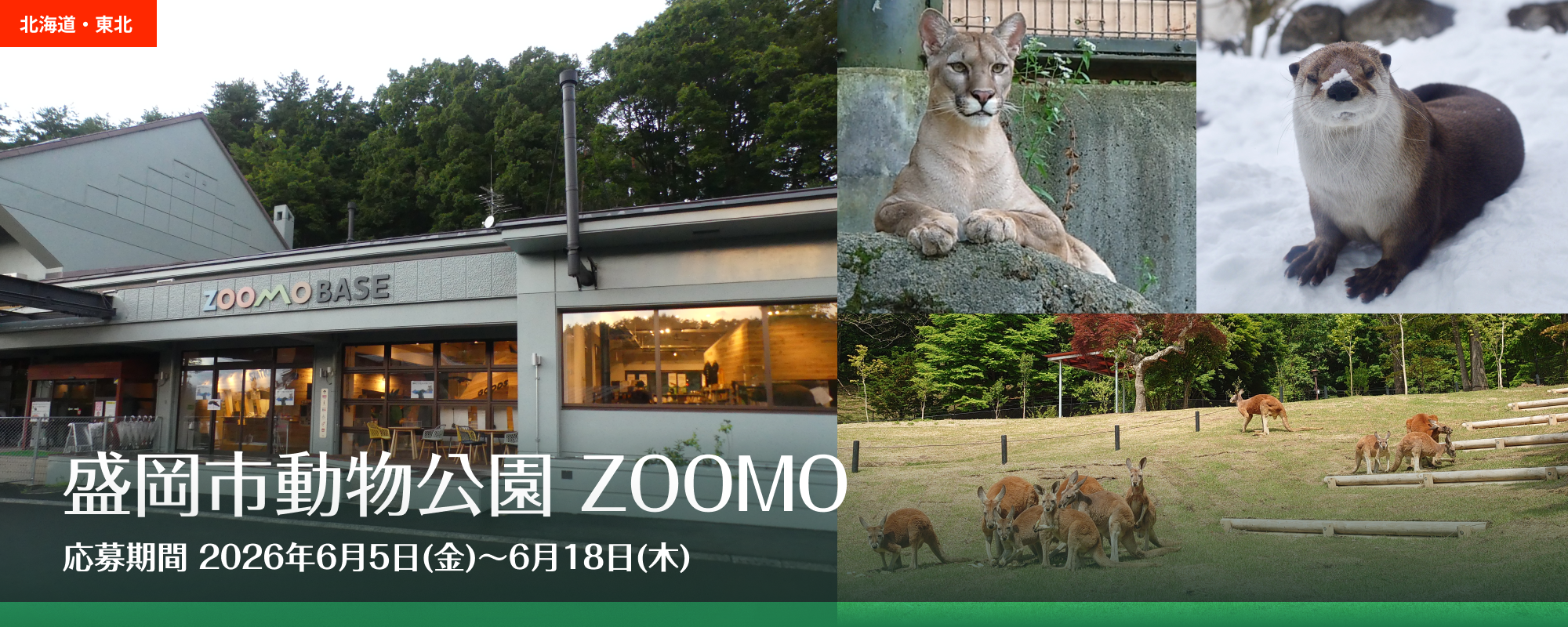 盛岡市動物公園ZOOMO