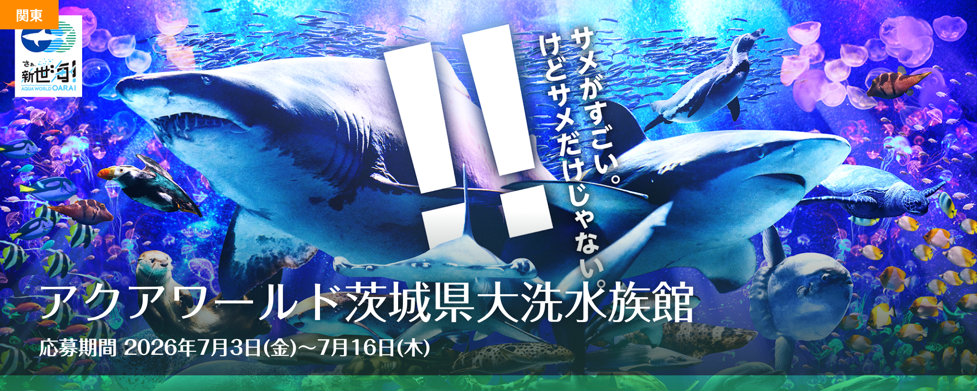 アクアワールド茨城県大洗水族館